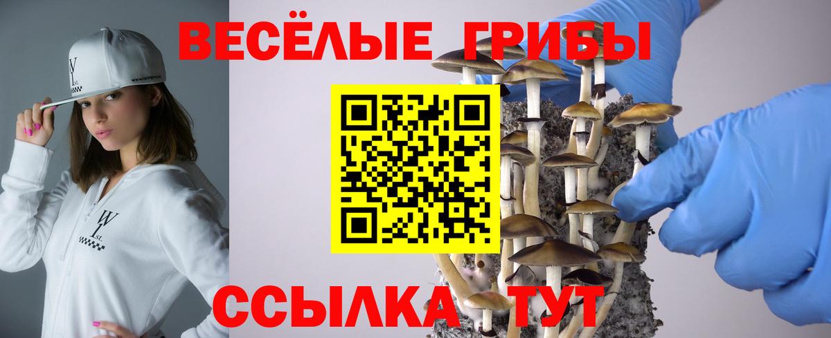 Галлюциногенные грибы мицелий  Вход с VPN  что такое   Псилоцибиновые грибы ЛСД  Советск 